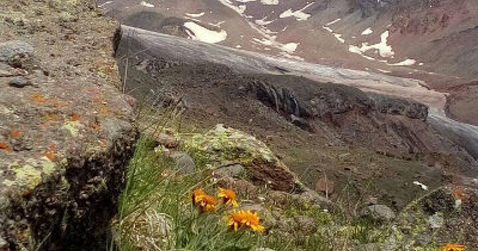 Priroda Kavkaz